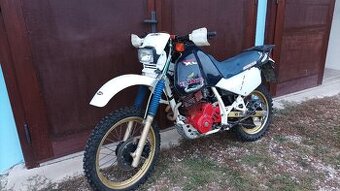 Honda XL600LM