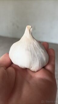 Cesnak