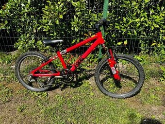 Bicykel Frog