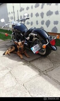 Yamaha dragstar 650