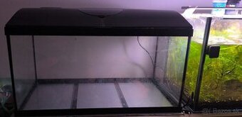 Akvarium