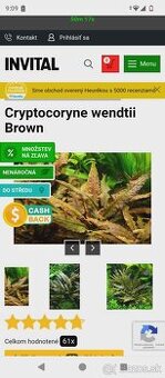 Vymenil by som rastliny 5x veľké korene