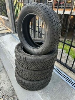 205/55 r16 zimné NORDICA