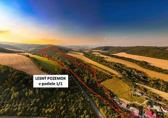 Rokycany – 70.000 m2 LESNÝ POZEMOK v podiele 1/1