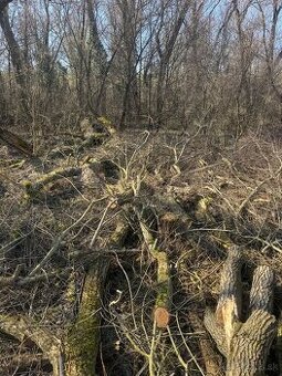 Darujem palivove drevo za odvoz