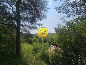 Pozemok 5656 m2 so starým domom na predaj v meste SNV.