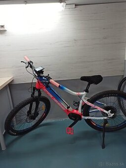 E-bike