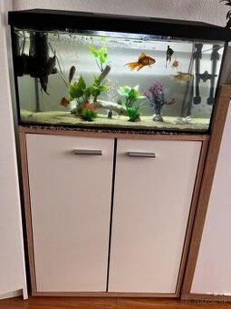 Akvarium