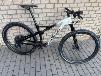 Cannondale Scalpel Hi-MOD 1 axs vaha 9.8kg