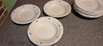 Hrubostenné taniere