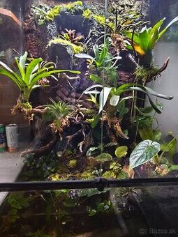 Predám terárium - 1