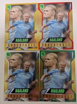 UNBEATABLE COLOUR HAALAND- TOP CLASS