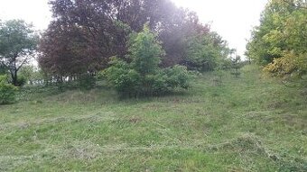 Pozemok - záhrada Velký Šariš - oblasť Kanaš