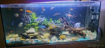 Predám 120l akvarium - 1