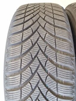 4ks zimne 205/60 R16 96H SEMPERIT SPEED GRIP 5