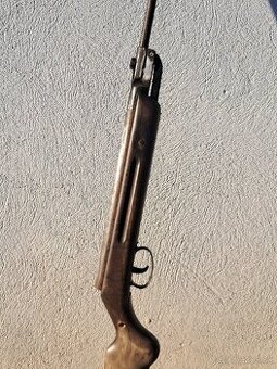 Raritna vzduchovka Wagria