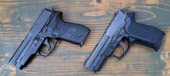 SIG SAUER SP 2022,P228
