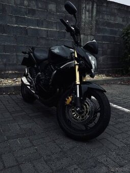 Honda Hornet 600 PC41 2009 - 1