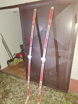 Rubin 650 lyze