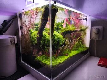 Predám Kompletne Zabehnuté 32L Akvárium (Mini Nature)