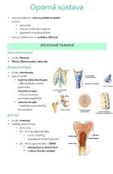 Podklady na prijímačky na LF UPJŠ