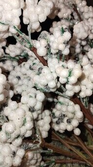 Vetvička sneh dĺžka 29 cm