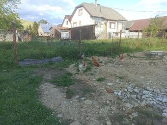 Predám sliepky