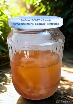 🫧 Domáca kombucha? Posúvam scoby + kvalitný štartér