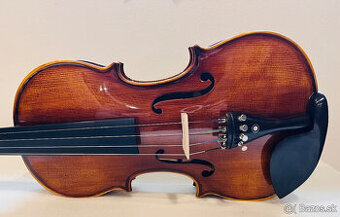 Predám husle, 4/4 husle: "Braun Diamond T01", model Stradi