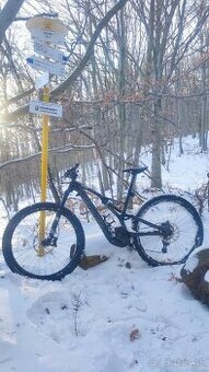 Specialized Turbo Levo Expert Carbon S3