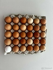 Domáce vajíčka - 1