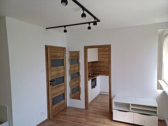 Prenajmem 1 izbový byt ,novozrekonštruovaný