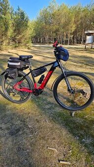 CTM PULZE XPERT 29 veľ. rámu 19