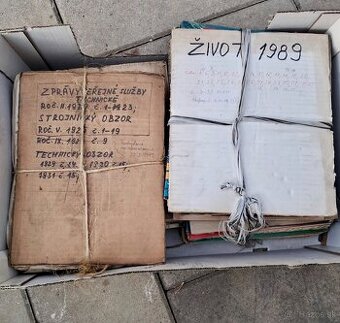 Svet socializmu, Život, Slovenka