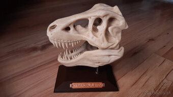 Lebka Tyrannosaura Rexa