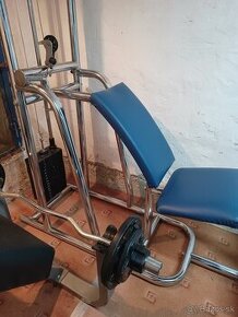 tricepsový stroj