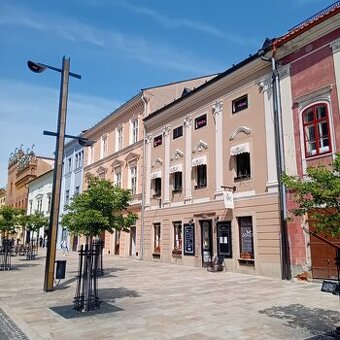 Jedinečný obchodný priestor v srdci historickej Levoče – 98