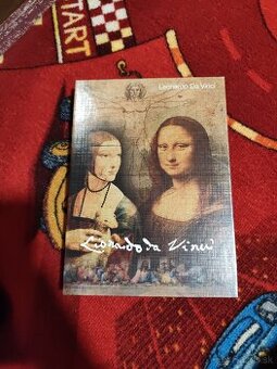 Mince Leonardo Da Vinci