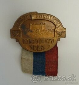 Odznak Sokol 05
