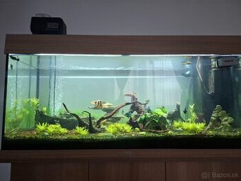Akvarium Juwel Rio 180