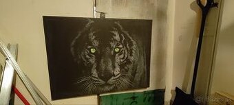 Obraz tigra na výšku 75cm a na dĺžku 100cm