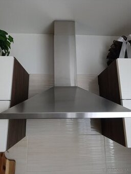 Digestor Elektrolux - 1