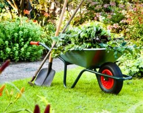 Čistenie a upratovanie záhrad / Kosenie trávy - 1