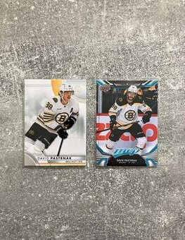 Hokejové kartičky / karty - Češi v NHL