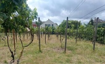 Predaj pozemku - záhrady v Stupave