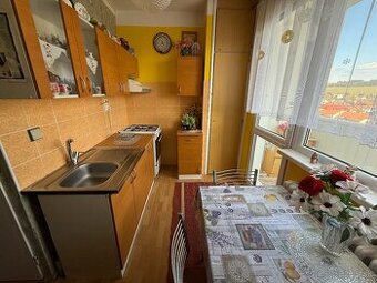 Byt 1+1 s loggiou Smižany