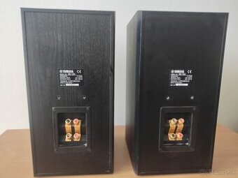 Yamaha NS-100