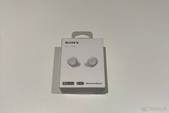 Sony WF-C710N