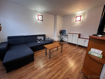 Priestranný 1-izbový byt na prenájom – Štefániková ulica, Li