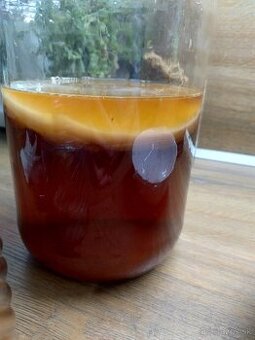 Kombucha